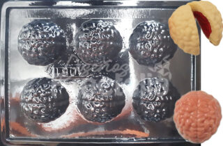 Molde Cerebros