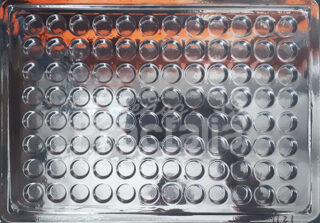 Molde Circulos medianos