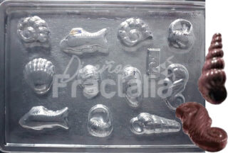 Molde Peces caracoles y caballos de mar