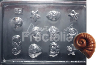 Molde Conchas estrellas y caracoles