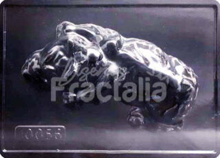 Molde Perro bulldog